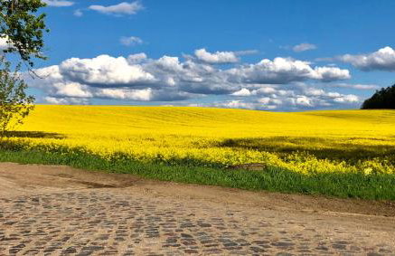 Siedlisko Tros - Foto 15