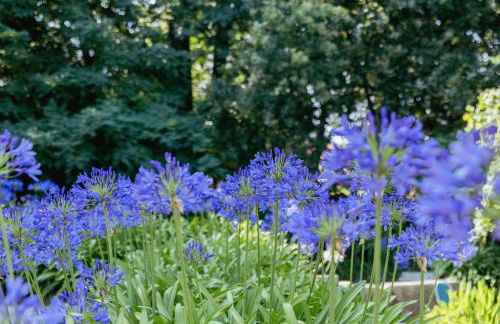 Cottage São Veríssimo - Foto 15