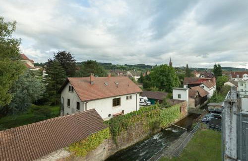 Lovely 1 room apartment near Basel - Foto 16