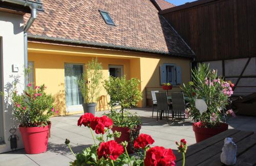 Gîte Le Cep d'Or Alsace - Foto 1