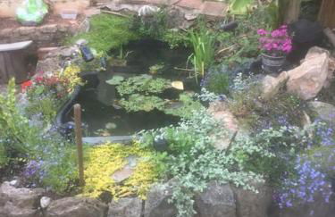 3 Bedroom Bungalow with great Sea Views, Private Hot Tub & Gardens - Foto 18