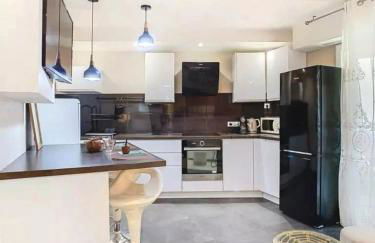 F3 4 pers 15 min Palace Cannes - Photo 14