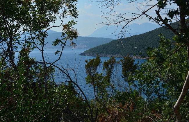 Apartment Bigovo Veljic-traste - Photo 15