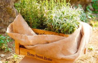 Misia Country Resort - Foto 94