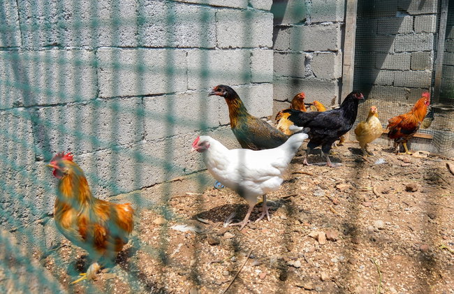 Tefenni Villas - Foto 47