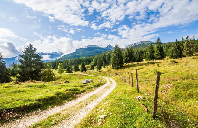 Mountain Lodge Jelje - Foto 20