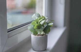 Bank House - Foto 21