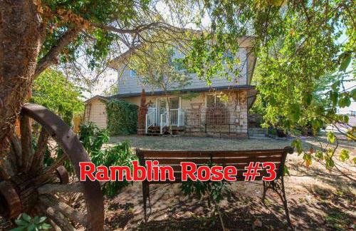 SQ Ramblin Rose 3 - Foto 1
