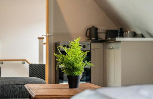 Beautiful new apartment with sheltered parking - Photo 7