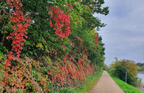 Haus KanaleGrande - Foto 17