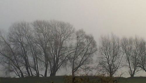 Holiday Home Elbufer 4C by Interhome - Foto 5