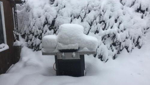 Alpaca-Village - Foto 3