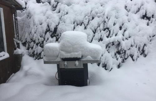 Alpaca-Village - Foto 3