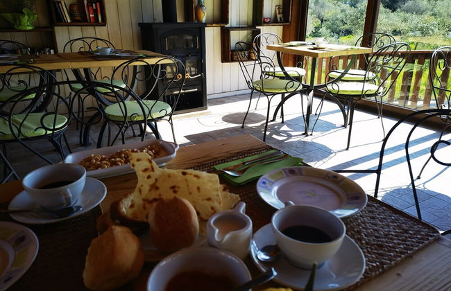 la corte degli ulivi - Foto 60