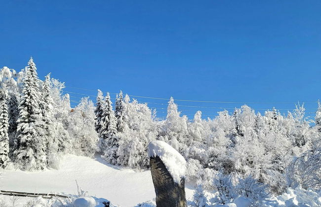 Apartment in Hohe Tauern Near Wildkogel Arena - Foto 14