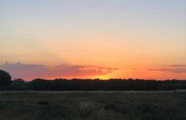 Green Olive Studios - Photo 52