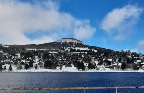 T2 confortable - Piscine chauffée - Super Besse - Photo 30