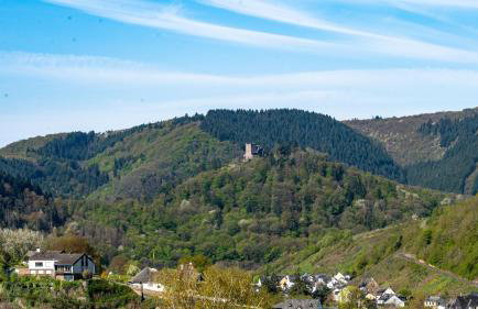Ferienwohnungen Moselpanorama und Moselblick - Foto 64
