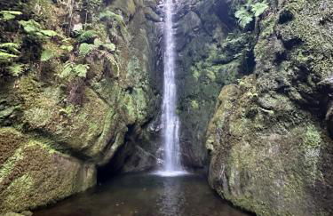 The Green Valley House - Foto 71