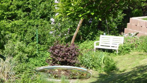 Ferienwohnungen Dora - Foto 5, Garden