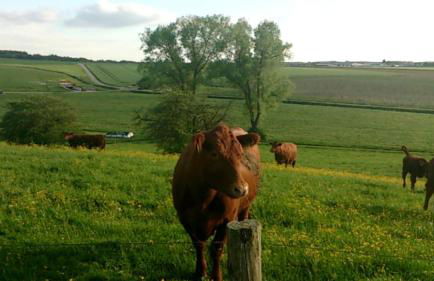 Apartment Haus Maria Waldblick - Foto 60