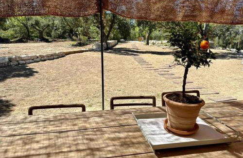 Villa Piscine Vue exceptionnelle - Foto 51