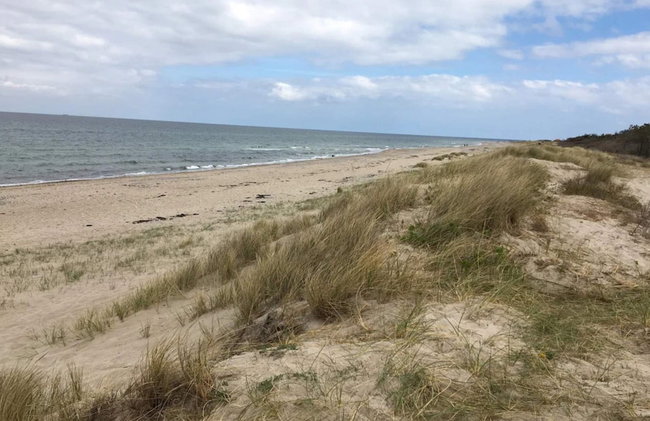 4 Person Holiday Home in Frederiksvaerk - Foto 35