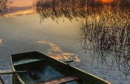 Landhaus de Gaspary - Foto 60