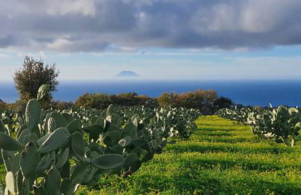 MAREMEU TROPEA - Foto 50