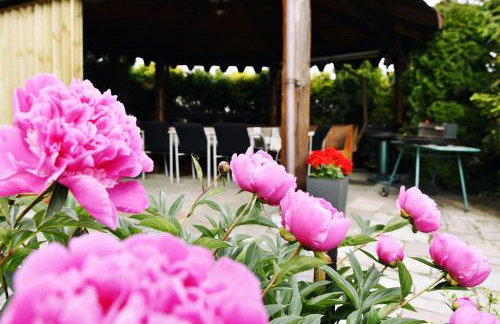 Wczasy u Gospodarza na Kaszubach - Foto 4