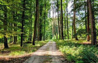 Seeliebe Ferienwohnung am Brombachsee - Foto 25