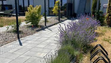 Koniec Świata Stare Sady - Foto 2