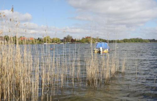 Ferienhaus Tversted in Zarrentin - Foto 40