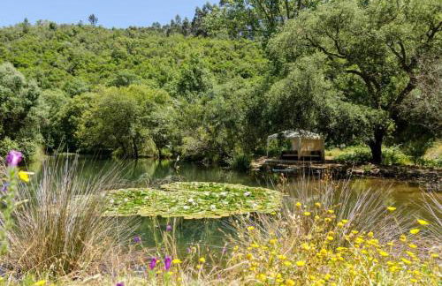 Casa Cisne - Selão da Eira - Foto 27