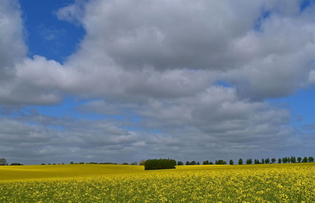 Ferienwohnung im Gutshaus Schulenbrook - Foto 25