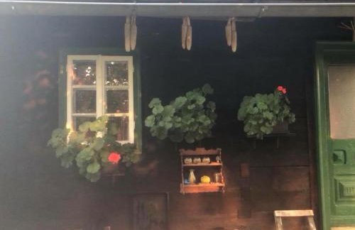 Holiday home Hižica v plavem trnacu - Foto 12