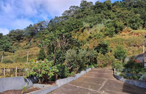 Northern Air House - Foto 42