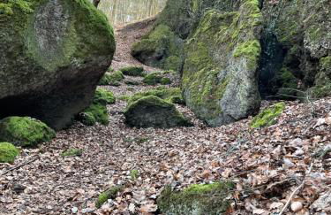 fewo-elzerhof - Foto 38