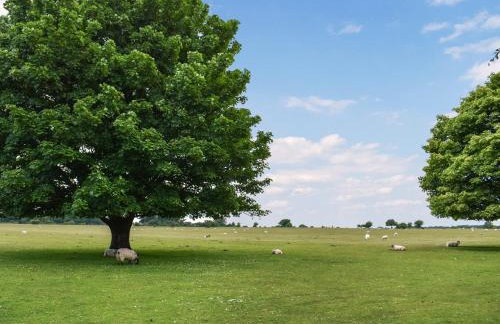 Glenview Cottage - Foto 9