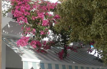 Glaros Hotel Apartment - Foto 66