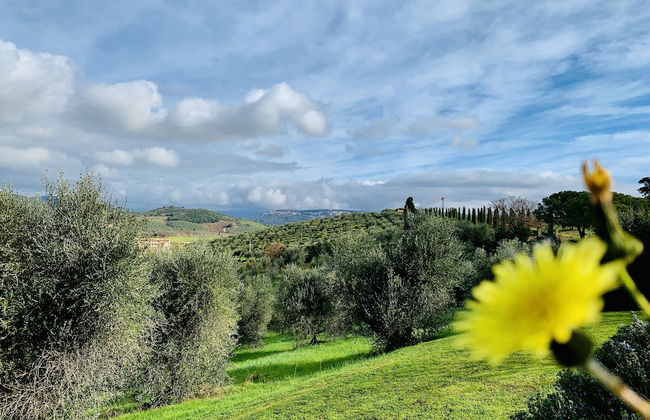 Tenuta Agricola Fraschiera - Foto 64
