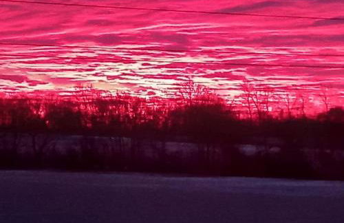 Rustic Retreat Guest Lodge - Photo 21