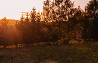 Sarnia Łąka Domek 1 z Prywatnym Jacuzzi - Foto 10