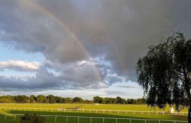 47 Wetherby Way - Foto 2