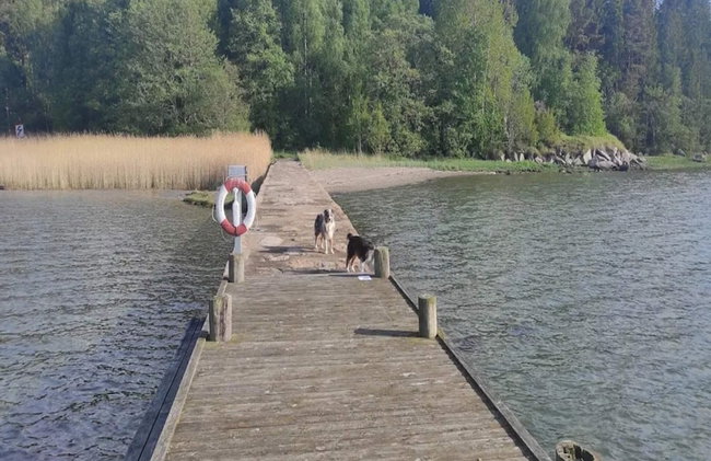 6 Person Holiday Home in Fjallbacka - Foto 26
