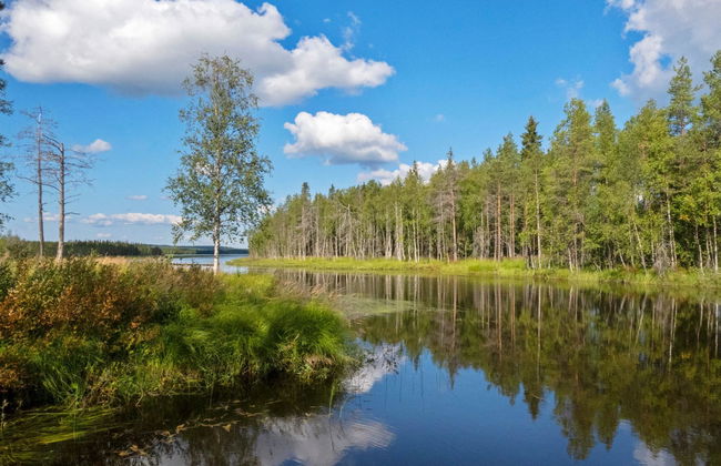 Kinttaanpirtti - Foto 33