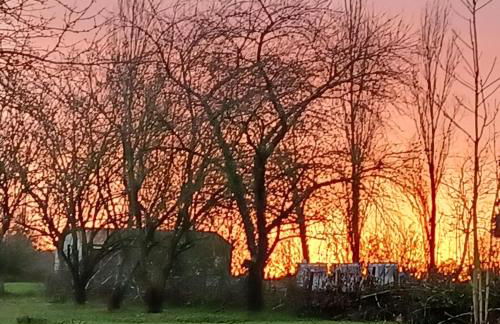 Wisteria Cottage at Gites de la Vienne - Foto 12