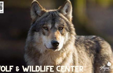 Aspen Haven - Mountain Retreat BBQ Scenic Views - Foto 80