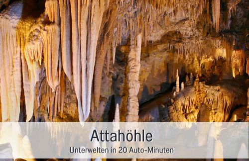 Ferienwohnung im Sauerland Hunde willkommen Kamin und Garten am Waldrand Muehls-Sauerland - Foto 48