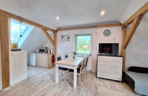 Sielanka Wydmy i Las - Foto 42